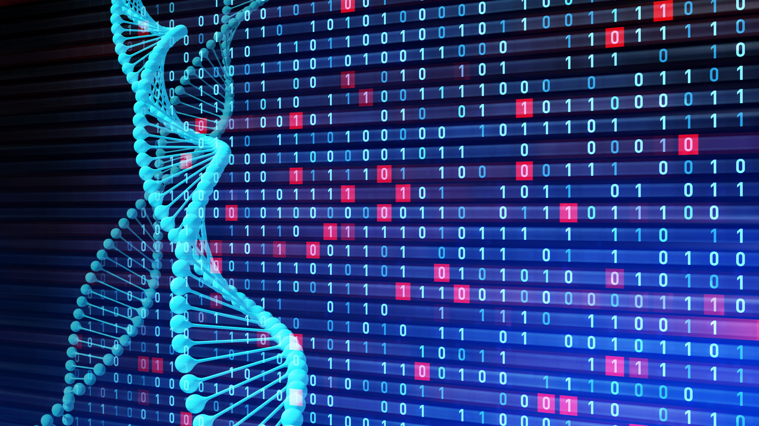 bioinformatica UPV